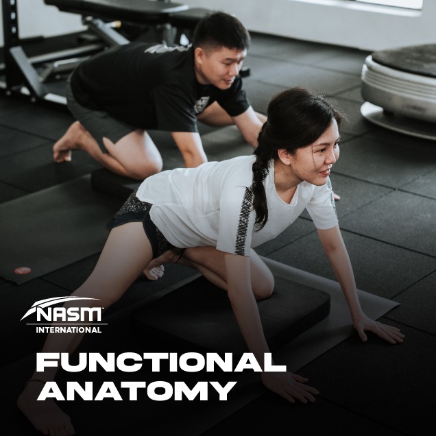 NASM Functional Anatomy Online Course - Malaysia - Singapore